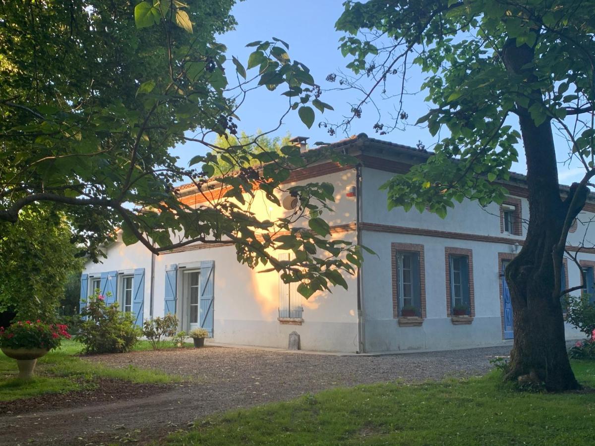 Villa Toulousaine Grisolles  Экстерьер фото