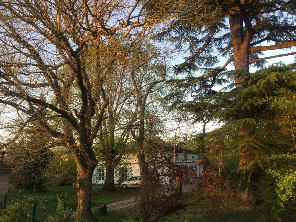 Villa Toulousaine Grisolles  Экстерьер фото